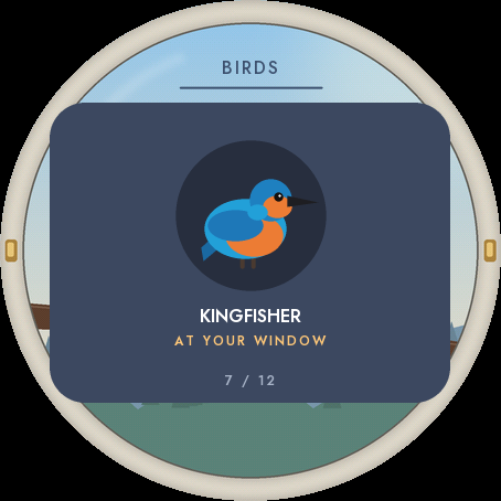 Birdwatch · Screenshot 3