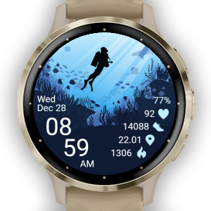 Diver 05 · Screenshot 4