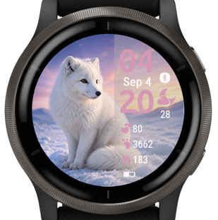 Arctic Fox · Screenshot 3