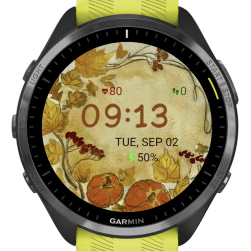 Autumn Harvest – Watercolor Pumpkin · Screenshot 1