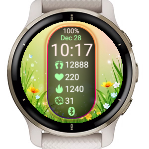 ECH Spring Sport · Screenshot 3