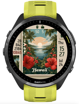 Hawaii · Screenshot 2