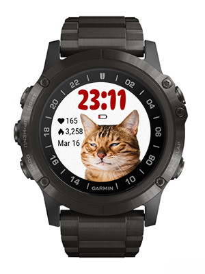 Funny cat · Screenshot 0