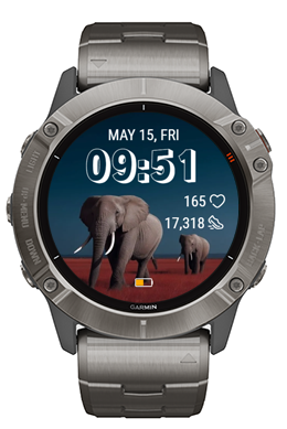 Gray Elephant · Screenshot 1