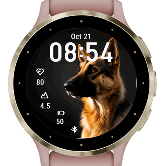 Big Dog · Screenshot 3