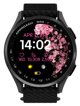 Sakura Whisper 4