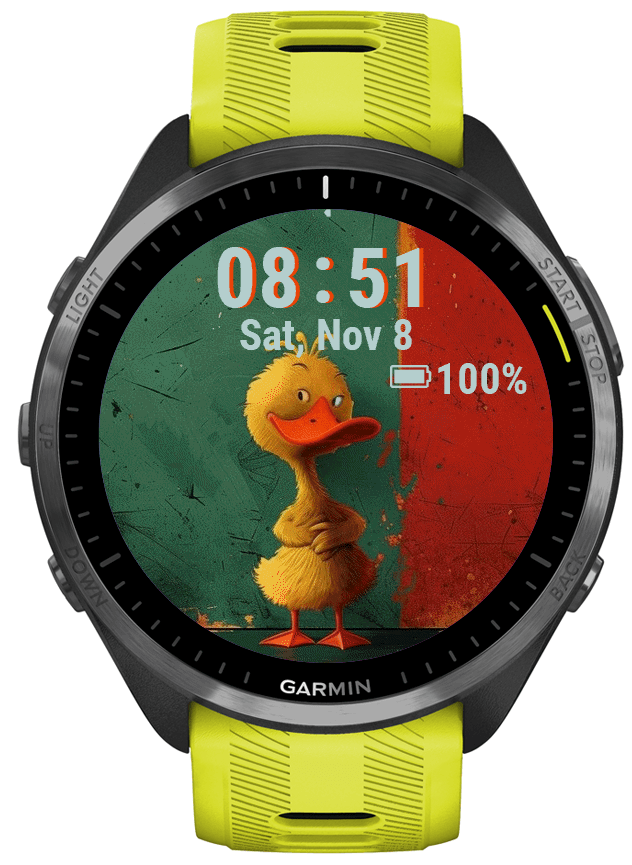 DUCKY · Screenshot 1