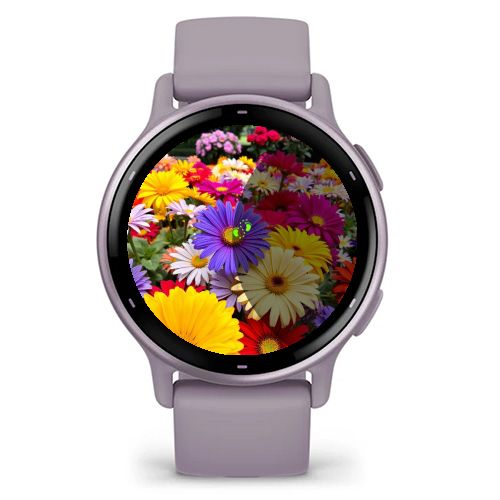 Colorful · Screenshot 0