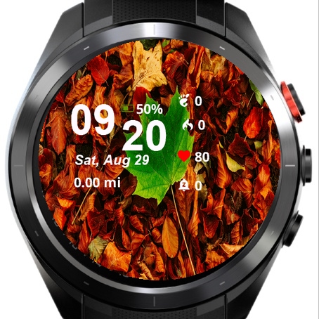 Close Up Leaf Laying Ground · Screenshot 1
