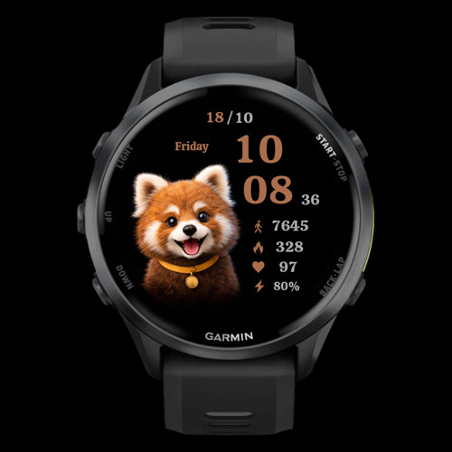 Red Panda Digital 2