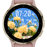 Sunny Petal · Screenshot 2
