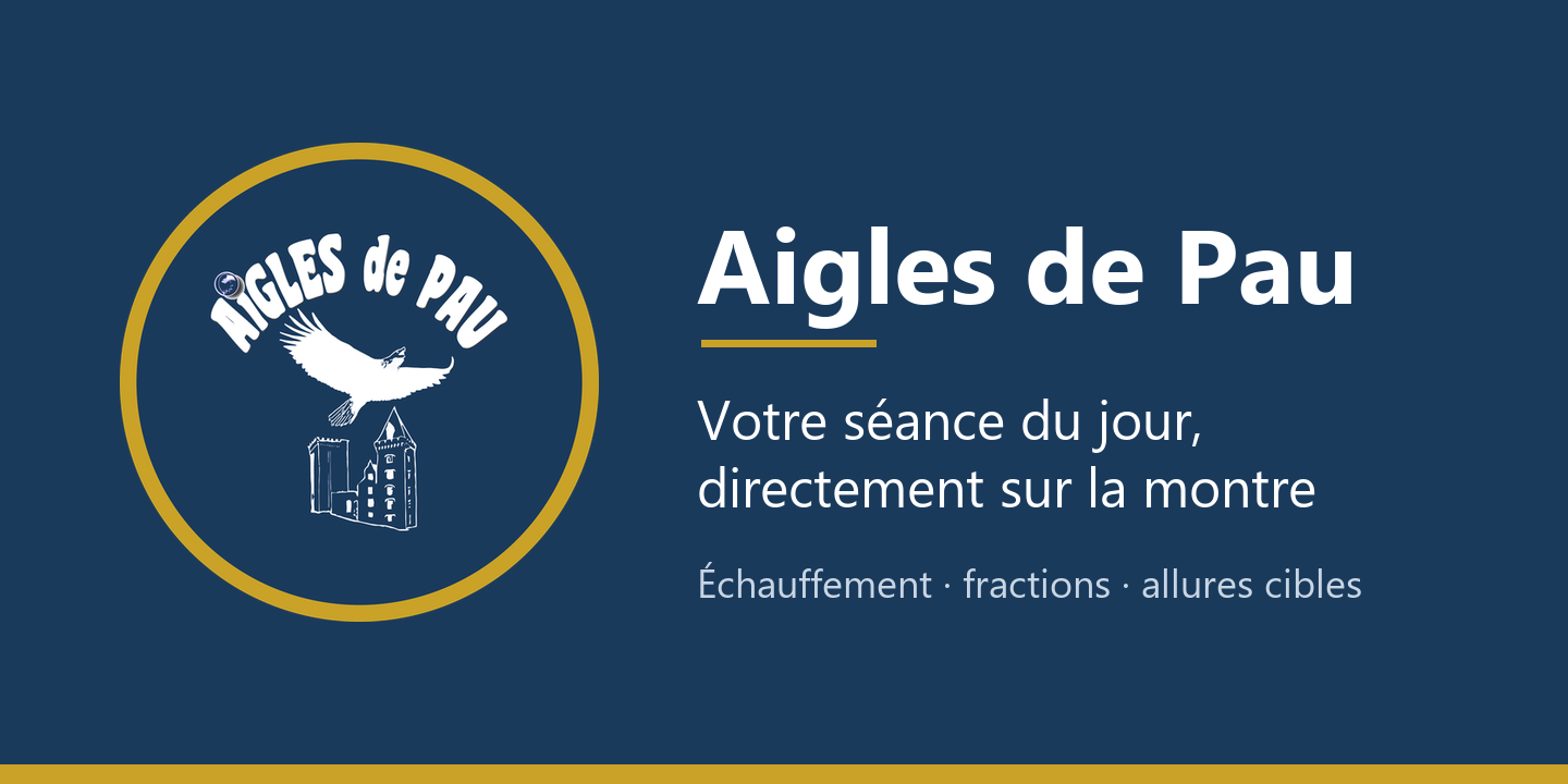 Aigles de Pau · Screenshot 0