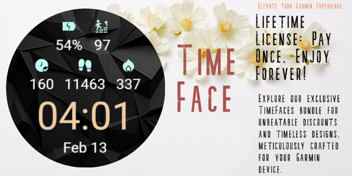 Fenix data · Screenshot 4