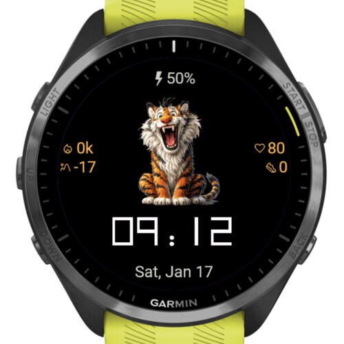 Funny Tiger 3