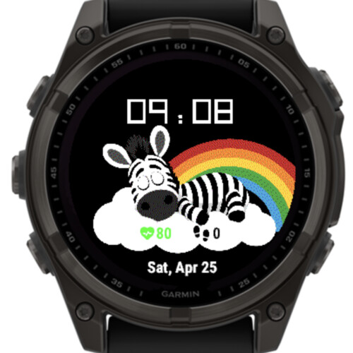 Dreamy Zebra Rainbow 5