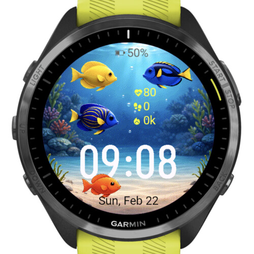 Ocean Friends 4