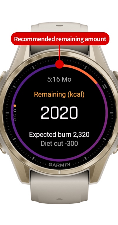 BurnBudget - Auto Calorie Diet without Food Log · Screenshot 0
