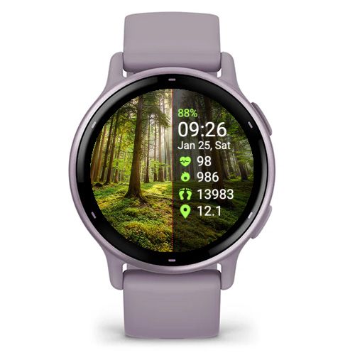 Forest 2