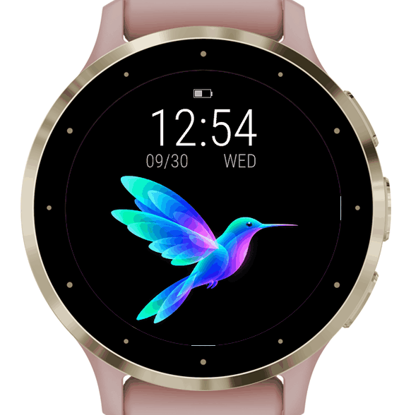 Aurora Humming Bird · Screenshot 0