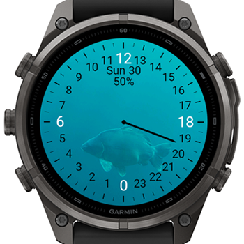 24 Hour Watch - Carp · Screenshot 0