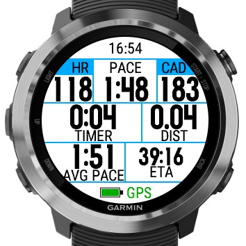 Custom Race Data Field · Screenshot 0