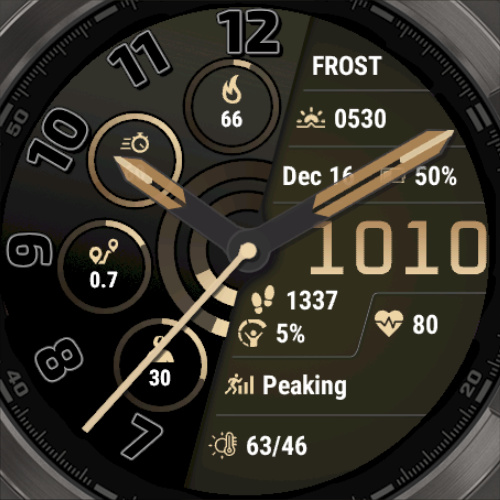 Fenix 8 Frost - GB 5