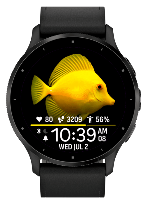 每日海洋生物 · Screenshot 3