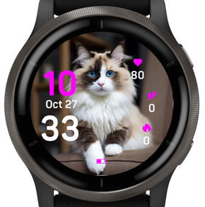 Daily Cat · Screenshot 1