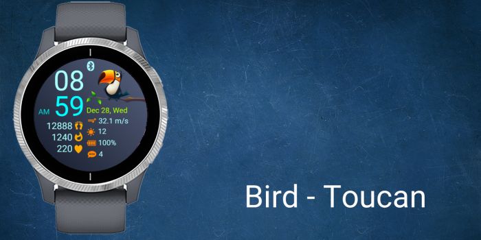 Bird - Toucan · Screenshot 0
