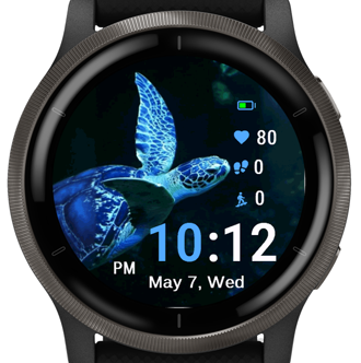 Blue Turtle · Screenshot 3