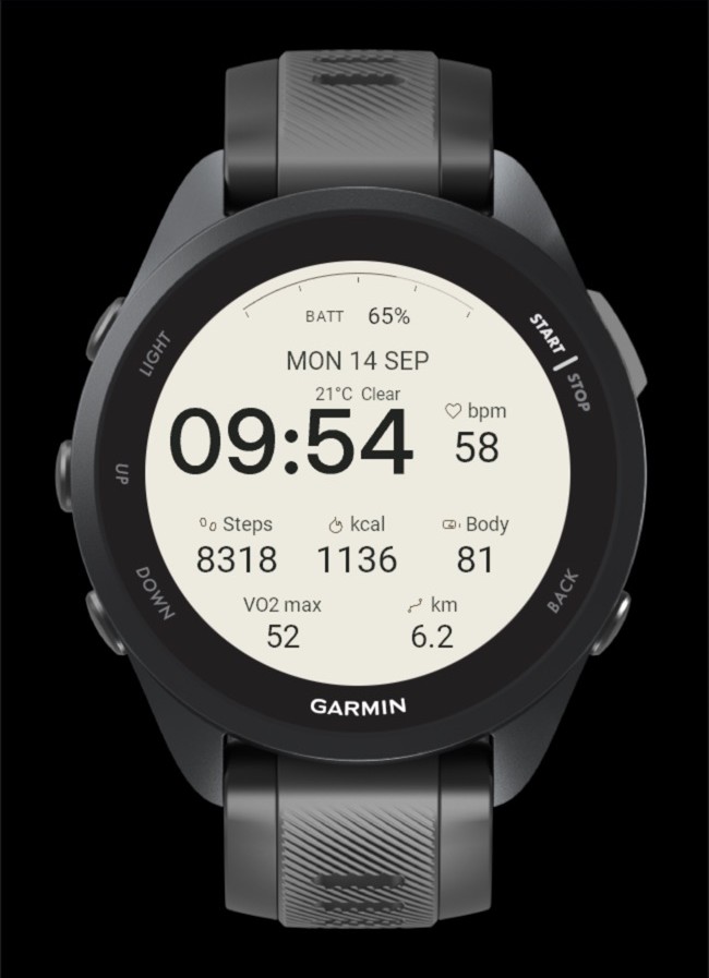 Dialform Data Watch Face · Screenshot 4
