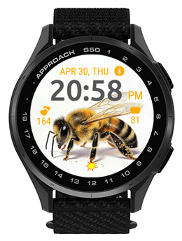 Honey Breeze 4