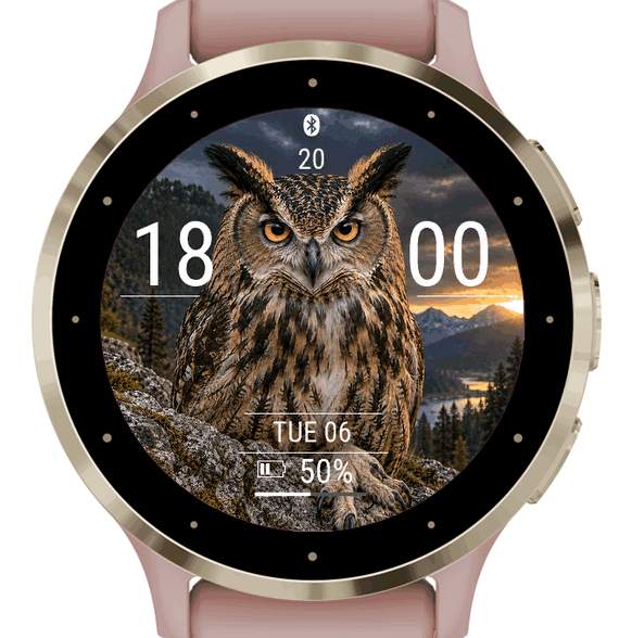 owl · Screenshot 0