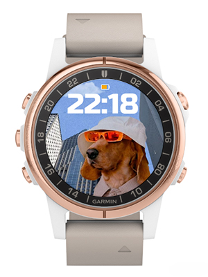 cool dog · Screenshot 2