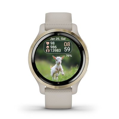 Mini Goat 5