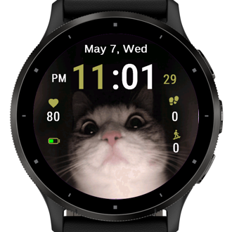 Curious Feline · Screenshot 1