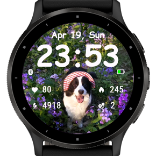 Pip 3