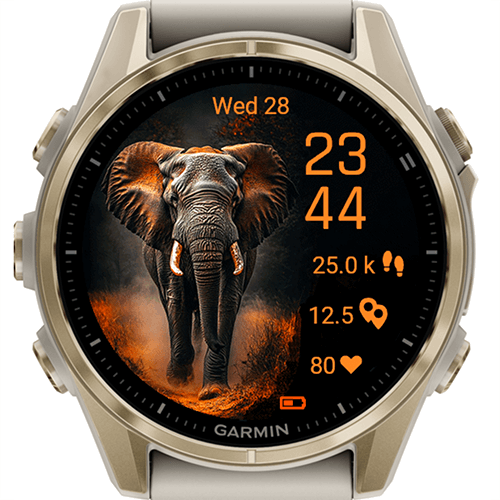 Elephant Force G · Screenshot 1