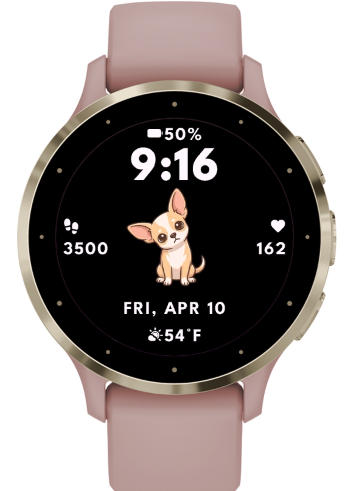 Chihuahua Dog - Animated · Screenshot 0