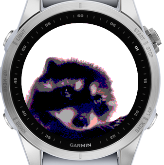 Pedro Pedro Racoon · Screenshot 0