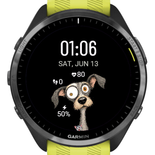 Dog · Screenshot 2