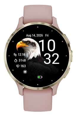 bald Eagle · Screenshot 0