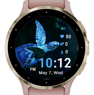 Blue Turtle · Screenshot 0