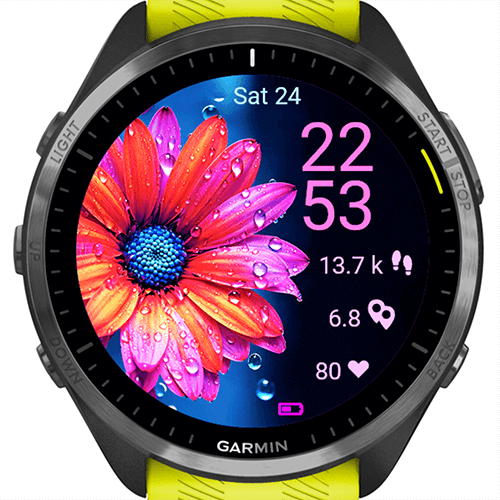 Radiant Bloom Flowers G · Screenshot 1