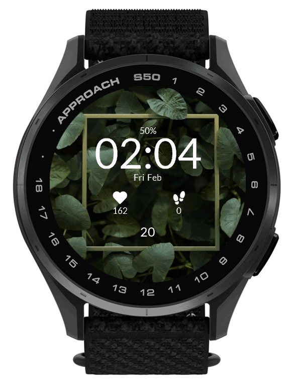 Tropical Background 4