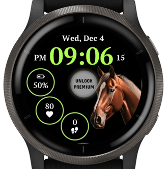 Brown Horse · Screenshot 2