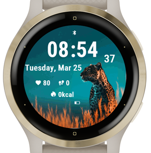 Spotty Roamer · Screenshot 0