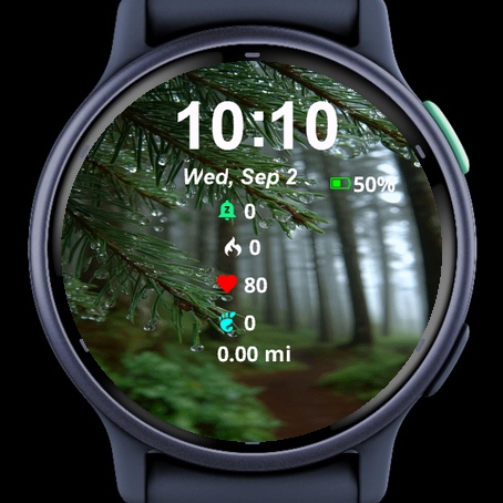 Close Up Trail Woods Covered Water · Screenshot 2