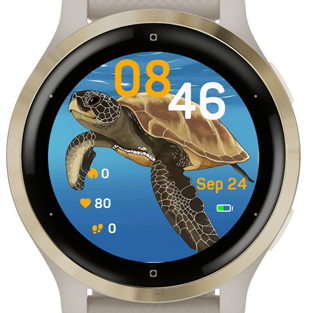 Ocean Turtle · Screenshot 0