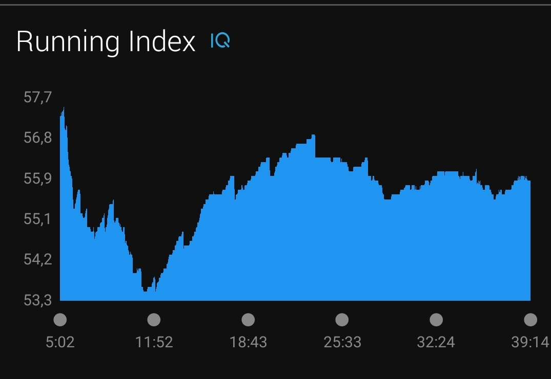 Running Index screenshot 3